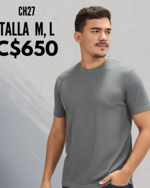 Camisa gris cuello redondo - CH27